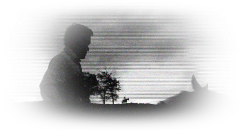 horses in heaven desktop banner image